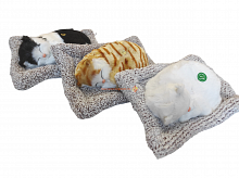 Кот на коврике со звуком большой 25х22 см во Соколе