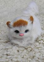 Кот из меха 3 во Соколе
